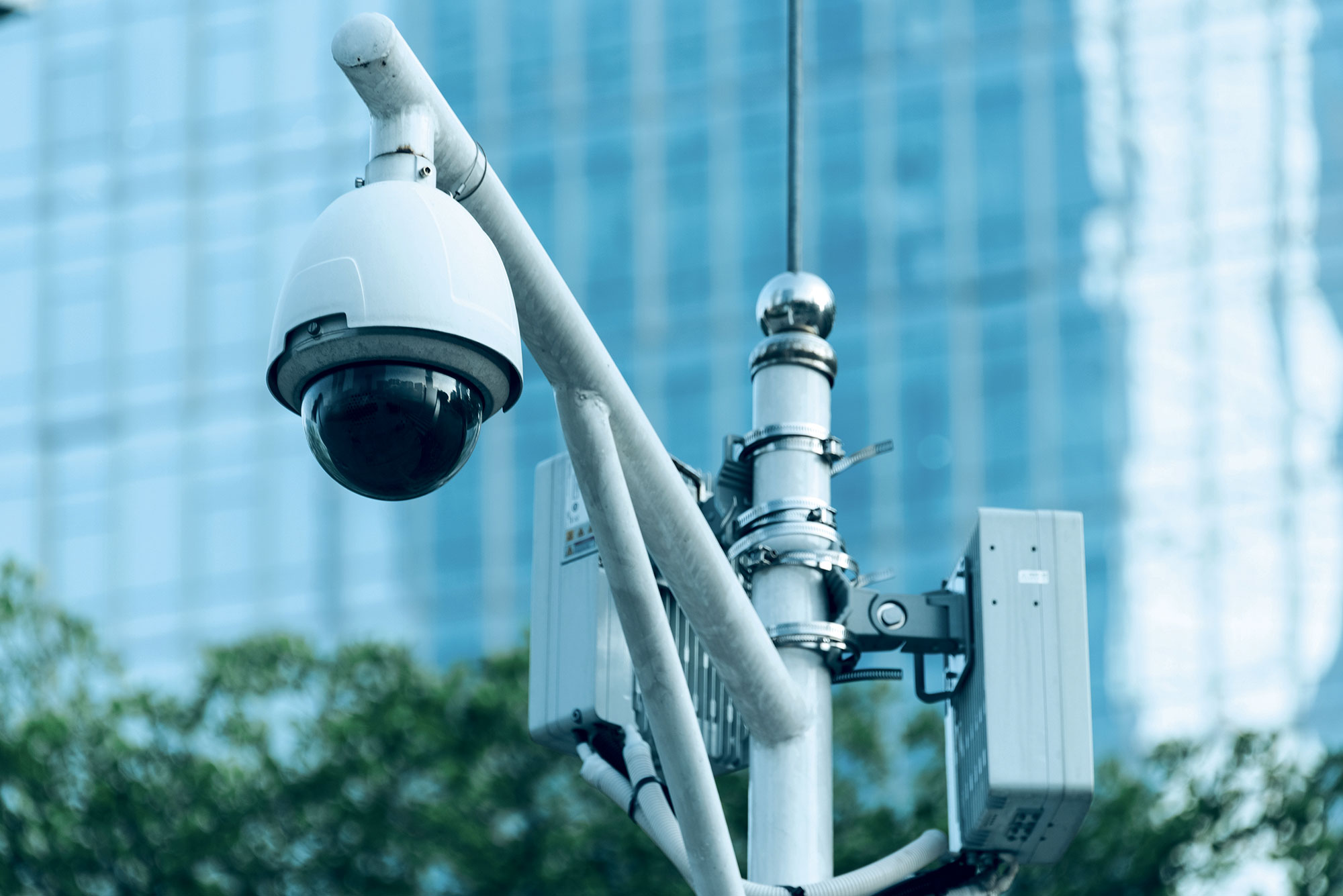 VSafety 63002BC-SABRSH Avvertenza generale CCTV in funzione | WhichOne